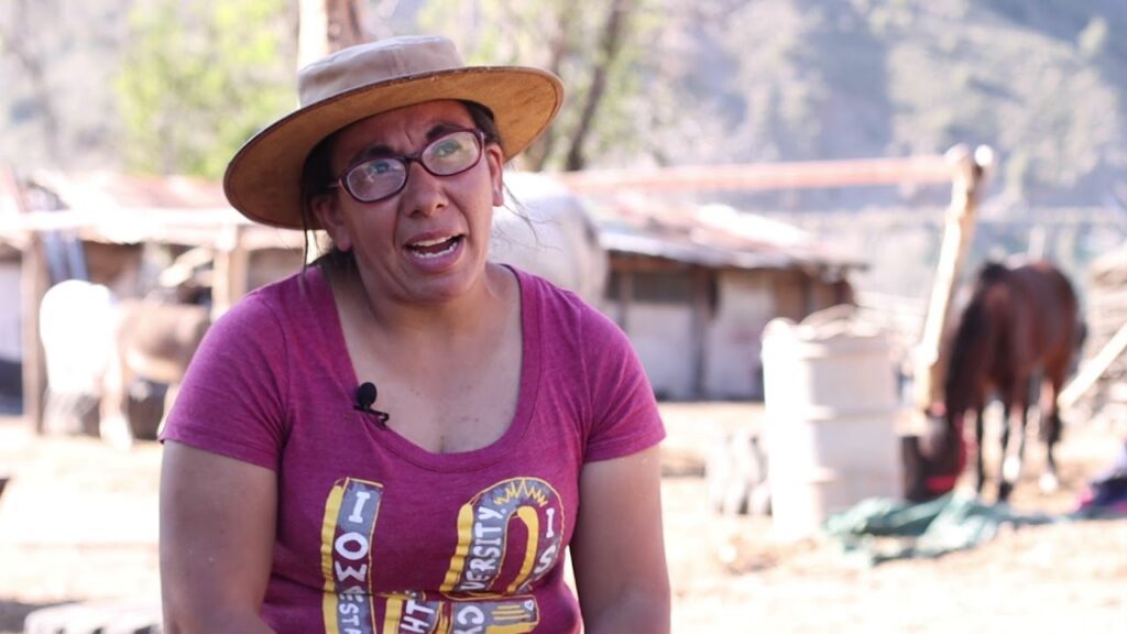 Descubre el origen del nombre 'Cajón del Maipo' Historia y curiosidades