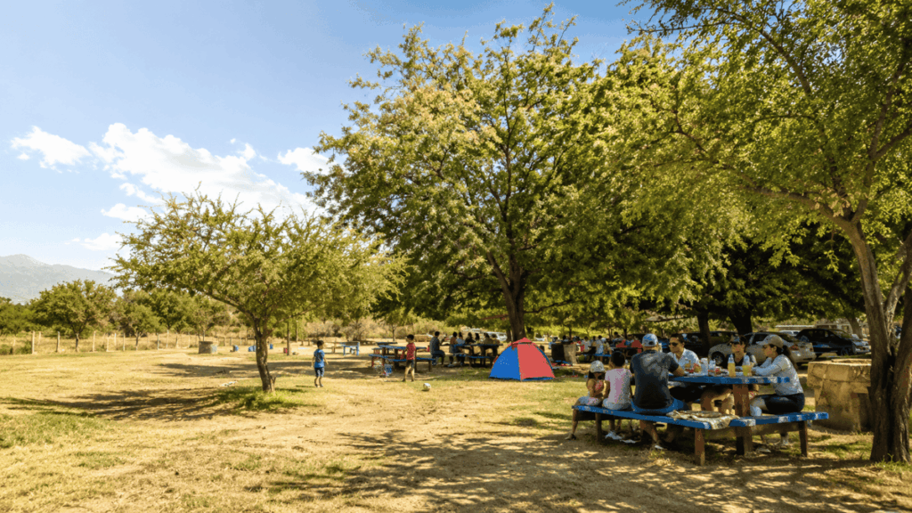 camping cajón del maipo que aceptan mascotas